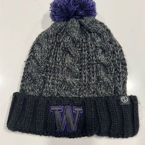 Zephyr Gray and Purple Knit Beanie